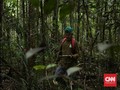 'Malaikat tanpa Sayap' Bagi Orangutan di Kalimantan