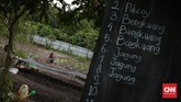 YIARI juga menanam pepohohan yang menjadi tempat bergelantungan dan mencari makan orangutan. Pepohohan ditanam secara organik demi keseimbangan gizi orangutan.
