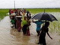 Myanmar Disebut Tak akan Mau Selidiki Genosida Rohingya