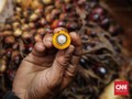 Fakta Sawit yang Diklaim PSI Mampu Bikin Harga Gadget Murah