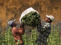 Upah Buruh Selamat dari Tekanan Inflasi September