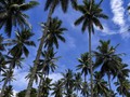 Maluku Coba Kembalikan Kejayaan dengan Pariwisata