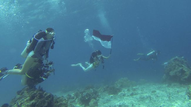 7 Titik Selam di Taman Nasional Taka Bonerate