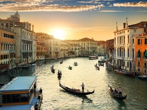Venesia dan Rahasia Hutan Terbalik yang Menopangnya Selama 1.600 Tahun