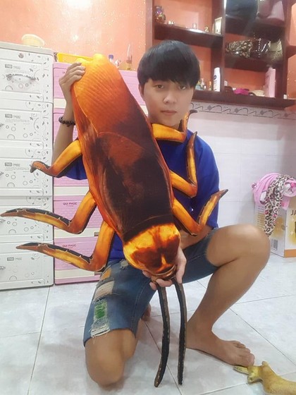 Menjijikan! Dijual Bantal Kecoa dan Cicak, Mau Beli? Menjijikan! Dijual Bantal Kecoa dan Cicak, Mau Beli?