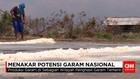 Menakar Potensi Garam Nasional