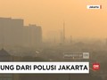 VIDEO: Trik Berlindung Dari Polusi Ibu Kota