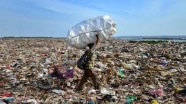 Atasi Sampah, Pemprov Jatim Uji Coba 'Tentara Lalat Hitam'