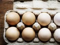 Wabah Salmonella, Peternakan AS Tarik 200 Juta Butir Telur