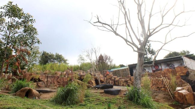 7 Objek Wisata Ramah Anak Di Bogor Untuk Libur Akhir Tahun 7 Objek Wisata Ramah Anak Di Bogor Untuk Libur Akhir Tahun