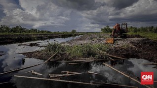 BRG Pulihkan Jutaan Hektare Lahan Gambut