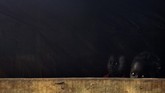 Para pengungsi internal yang terlunta di tanah sendiri ini pun terus berharap bisa kembali pulang ke kampung halaman demi kelanjutan hidup anak dan cucu mereka. ANTARA Foto/Fanny Octavianus).