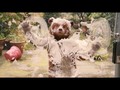 VIDEO: Beruang Paddington Siap Kembali ke Bioskop