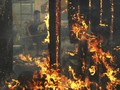 Korban Tewas Kebakaran California Capai 29 Jiwa