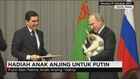 Hadiah Anak Anjing untuk Presiden Rusia