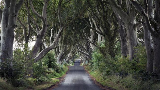 'Game of Thrones' Jadi Pemicu Kemacetan di Jalanan Irlandia