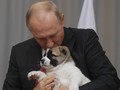 Vladimir Putin Berjuang di Pemilu Tanpa Diusung Parpol