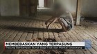 Rantai Pasung Teror Penderita Gangguan Jiwa
