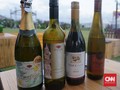 Memilih Wine yang Tepat sebagai Pendamping Makanan