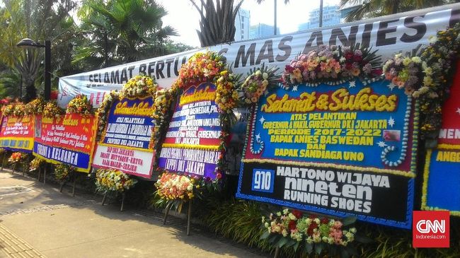 81+ Gambar Bunga Balai Angin Paling Mekar 81+ Gambar Bunga Balai Angin Paling Mekar