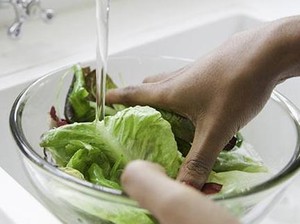 5 Tips Mudah Hilangkan Pestisida agar Sayuran Aman Dimakan