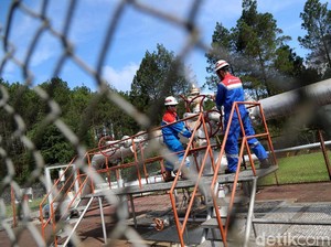 Laba Naik 28%, PGE Pastikan Dividen Bakal Cair!