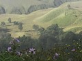 Bukit Teletubbies, Spot Favorit di Bromo yang Dilalap Api