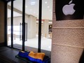 Uni Eropa Beri Lampu Hijau Apple Akusisi Shazam