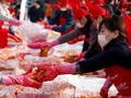 Kimchi Juga Bermanfaat untuk Kesehatan