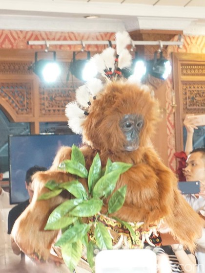 Wakili Indonesia di Miss Universe 2017, Bunga Jelitha Jadi Orang Utan Wakili Indonesia di Miss Universe 2017, Bunga Jelitha Jadi Orang Utan