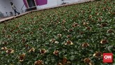 Kolam buatan berisi enceng gondok dan bunga artifisial karya Siti Adiyati menjadi spot favorit bagi pengunjung untuk berfoto pada perhelatan seni Jakarta Biennale 2017 di Gudang Sarinah Ekosistem.