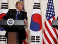 Trump dan Presiden Korsel Akan Bertemu untuk Bicarakan Korut