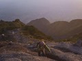 FOTO: Mendaki Gagahnya Gunung Merapi