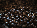 Coffee Festival Toba 2017 Siap Pikat Para Penikmat Kopi