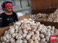 Spirit Swasembada dan Keran Impor Bawang Putih nan Longgar