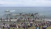 Keberadaanya menarik ratusan warga yang ingin melihat langsung paus berukuran lebih dari 10 meter. Paus-paus tersebut diketahui jenis sperma yang diduga terdampar saat bermigrasi. (AFP PHOTO / CHAIDEER MAHYUDDIN)