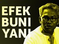Efek Buni Yani