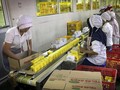 Sido Muncul Bagi Dividen Rp430 Miliar