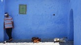 Mohamed Sefiani, yang menjadi pemimpin atas 45 ribu jiwa orang penduduk kota Chefchaouen, mengatakan kalau usaha menghijaukan kota butuh waktu tidak sebentar, namun bisa dimulai dari sekarang.
