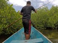 Perjuangan Membangun 'Benteng' Mangrove di Tongke-Tongke