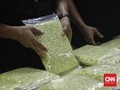 Kemendikbud-BNPT-BNN Sudah Memetakan Sekolah Rawan Narkoba