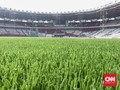 Pesona Rumput Stadion GBK Jelang Asian Games 2018