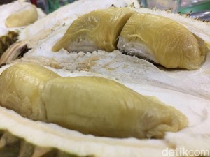 Harum Legit! 5 Jenis Durian Ini Paling Populer di Indonesia