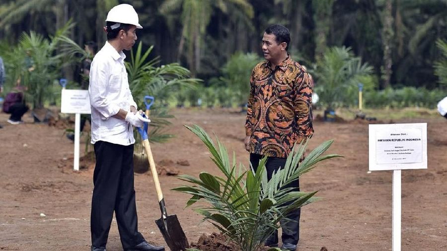 Menteri Koordinator Bidang Perekonomian Darmin Nasution memimpin rapat koordinasi membahas peremajaan perkebunan kelapa sawit.