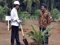 Komisi Uni Eropa Hapus Sawit untuk Biofuel