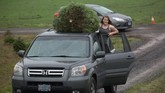 Menurut Northwest Christmas Tree Association, Carolina Utara memanen sekitar 3,5 juta pohon pada 2016, Michigan (3 juta), Pennsylvania (2,3 juta), dan Washington (1,5 juta). (REUTERS/Natalie Behring)