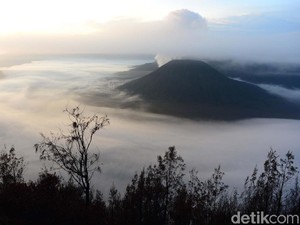 5 Taman Nasional di Jawa Timur, Ayo Rencanakan Liburan Seru!