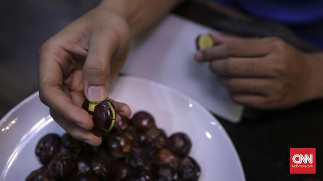 Mengulik Manfaat dan Dampak Jengkol Buat Kesehatan