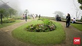 Istana Doi Tung juga memiliki taman bunga yang cantik, bernama Mae Fah Luang. Baik istana dan tamannya berada dalam lahan seluas 10 are di Gunung Doi Tung yang selalu berkabut.