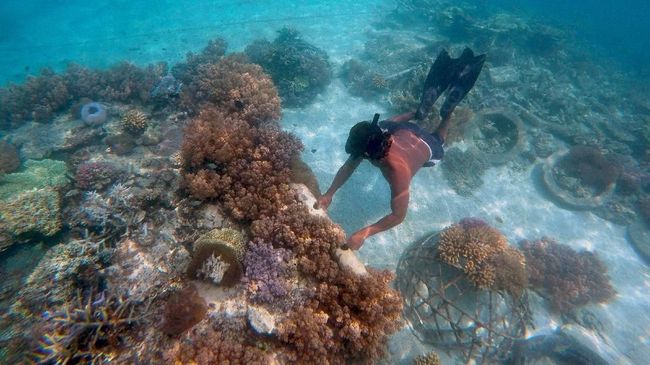 89 Gambar Alam Dua Dimensi Paling Bagus 89 Gambar Alam Dua Dimensi Paling Bagus